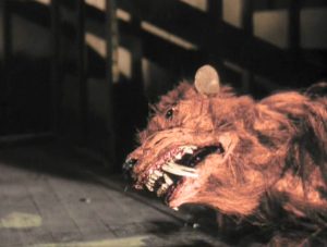 Killer shrew in all it's glory … or lack thereof